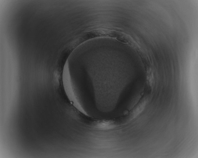 X0000102000235200808011128