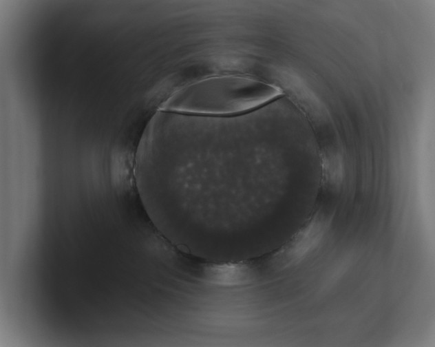 X0000102000237200808011128