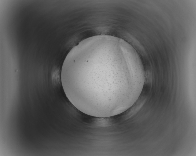 X0000102000238200808011128