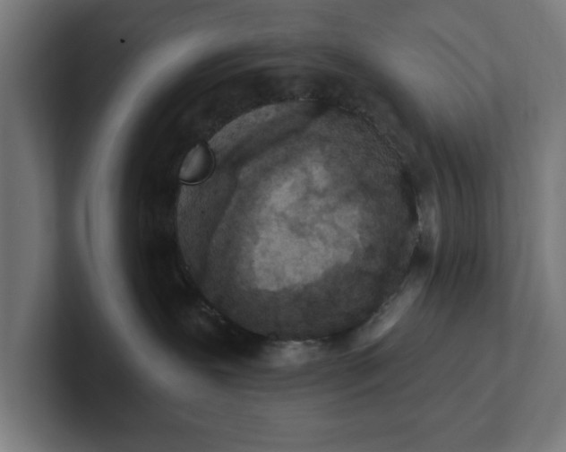 X0000102000239200808011128