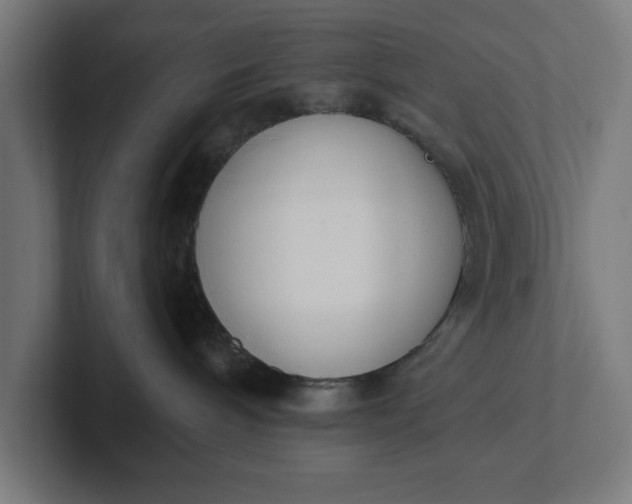 X0000102000240200808011128