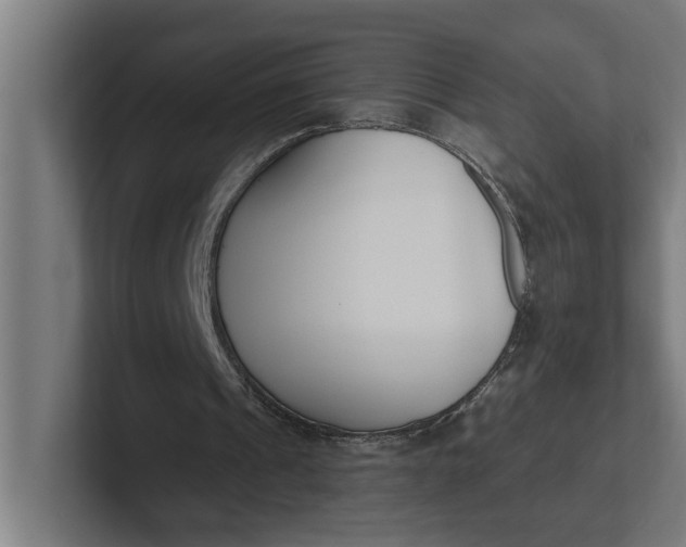 X0000102000241200808011127