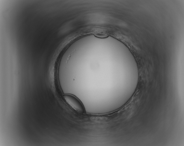 X0000102000242200808011127