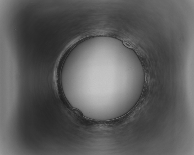 X0000102000244200808011127