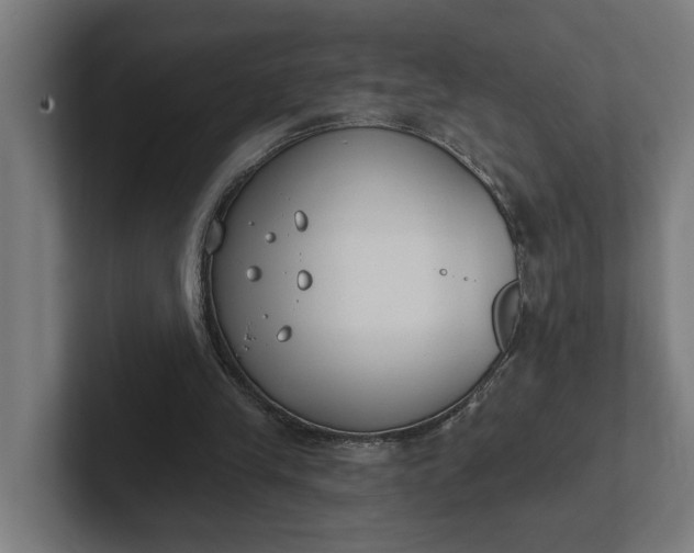 X0000102000245200808011127