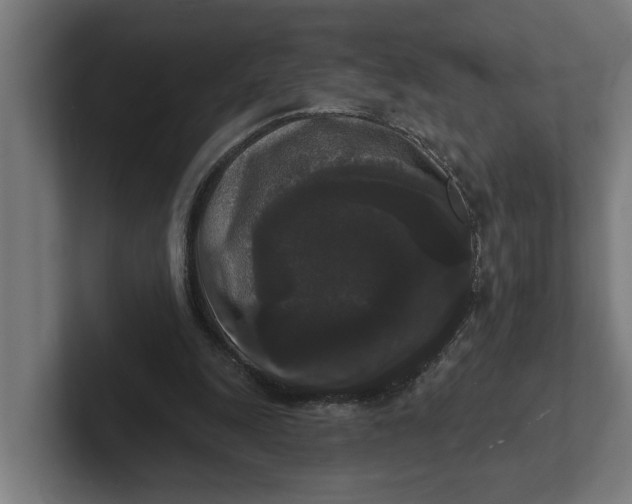 X0000102000247200808011127