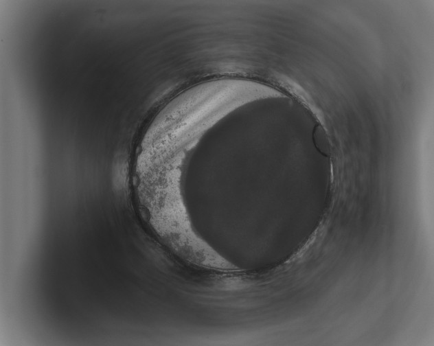 X0000102000249200808011127