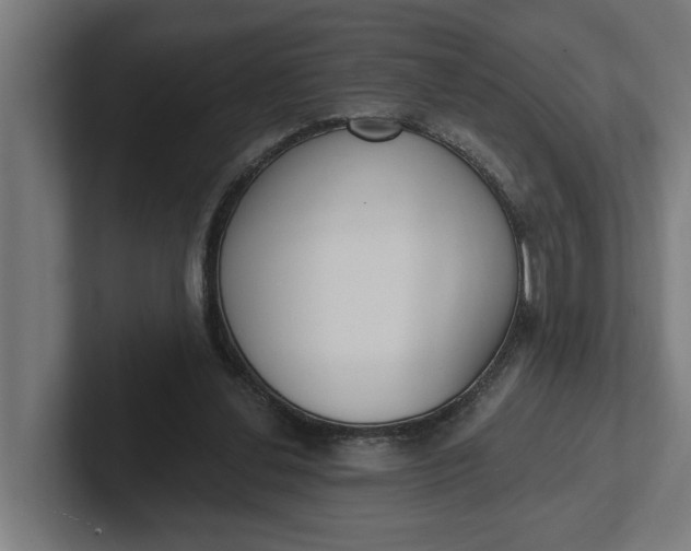 X0000102000252200808011127