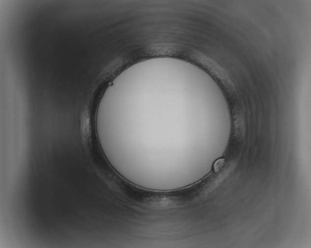 X0000102000254200808011127