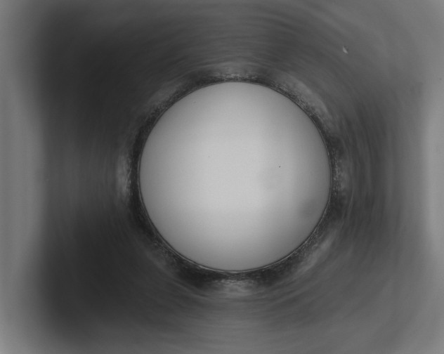 X0000102000255200808011127