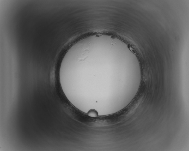 X0000102000256200808011128