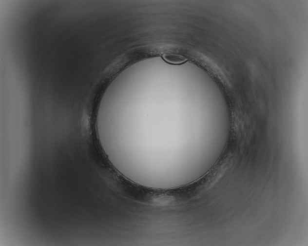 X0000102000258200808011128