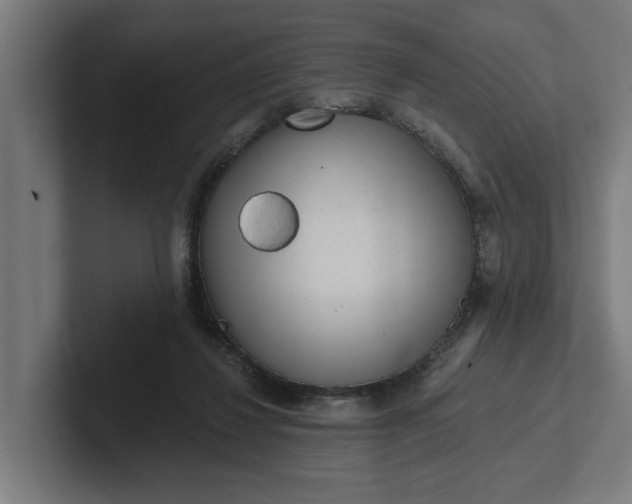 X0000102000260200808011128