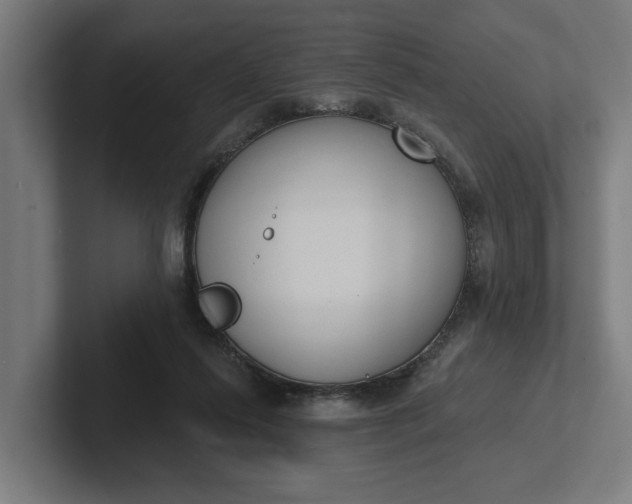 X0000102000262200808011128