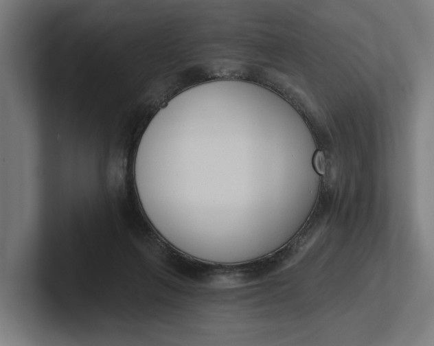 X0000102000263200808011128