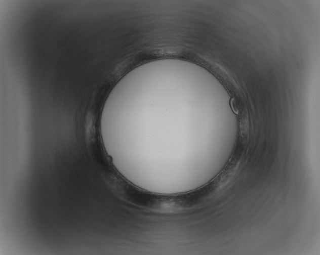 X0000102000264200808011128