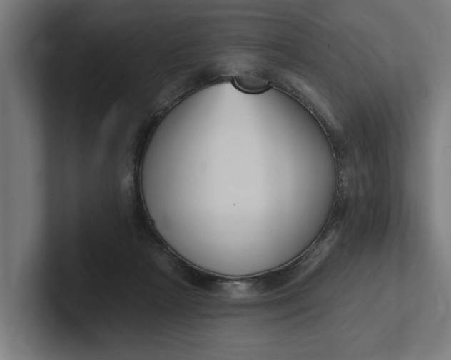 X0000102000265200808011128