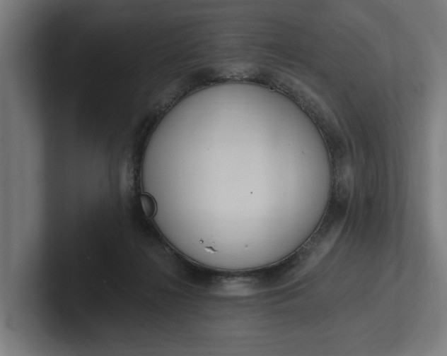 X0000102000268200808011128