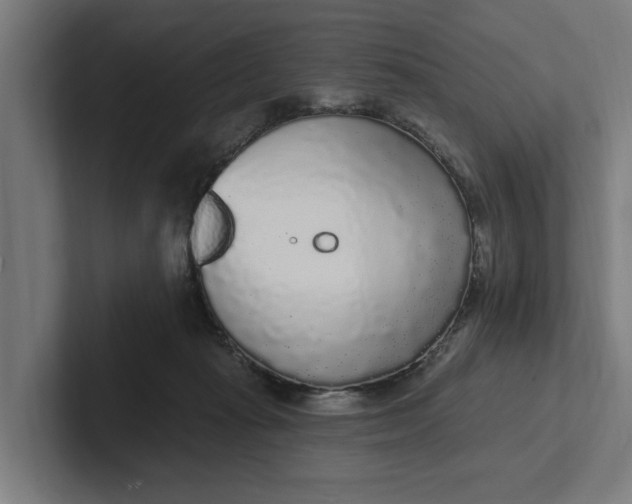 X0000102000269200808011128