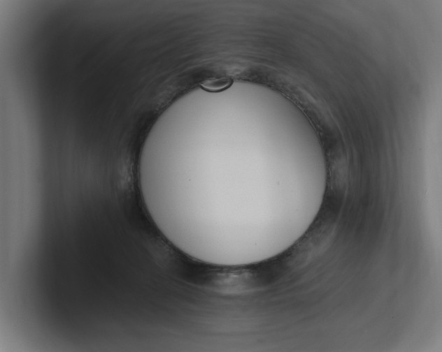 X0000102000274200808011128