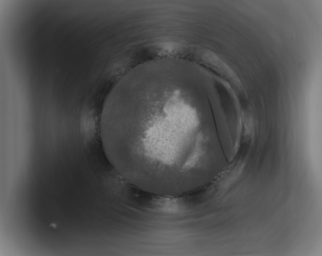 X0000102000276200808011128