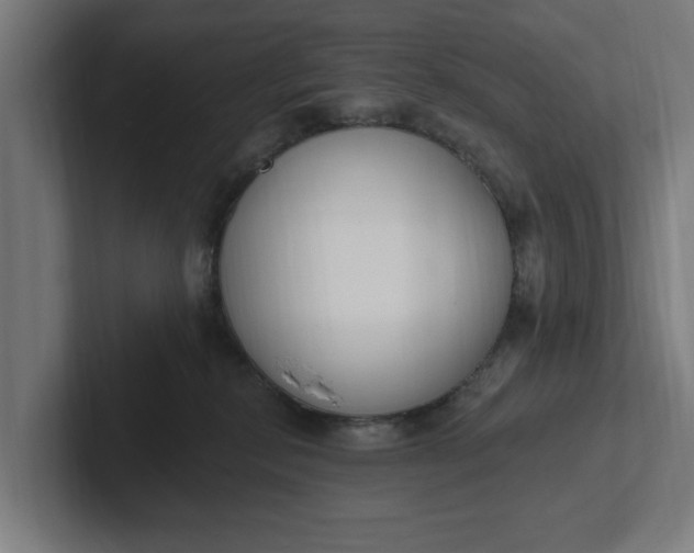 X0000102000278200808011128