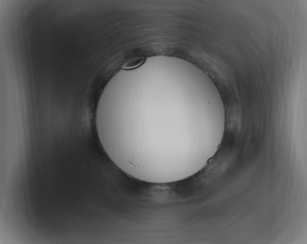 X0000102000279200808011128