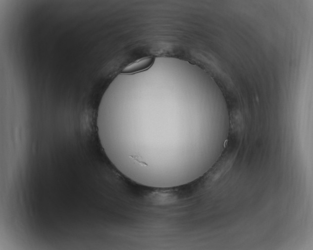 X0000102000280200808011128