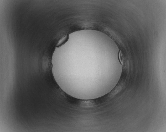 X0000102000281200808011128