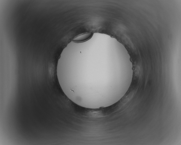 X0000102000283200808011128