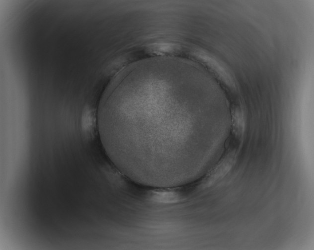 X0000102000284200808011128