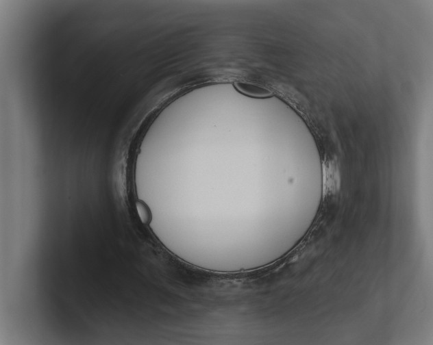 X0000102000291200808011127