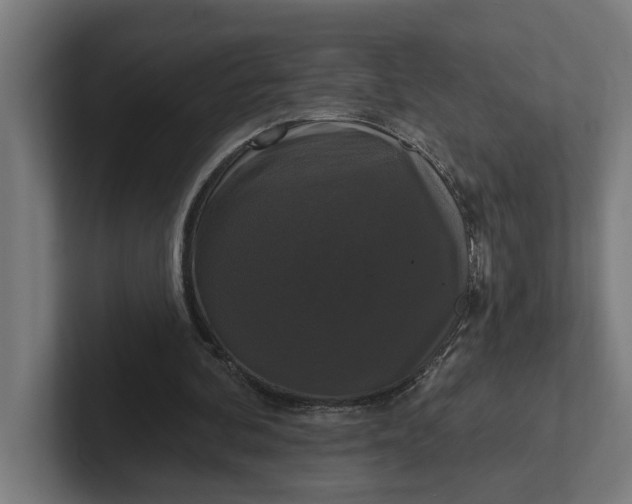 X0000102000292200808011127