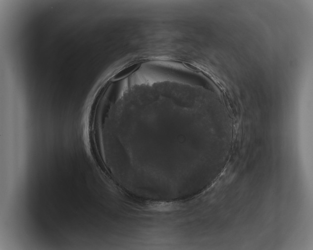 X0000102000293200808011127