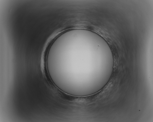 X0000102000294200808011127