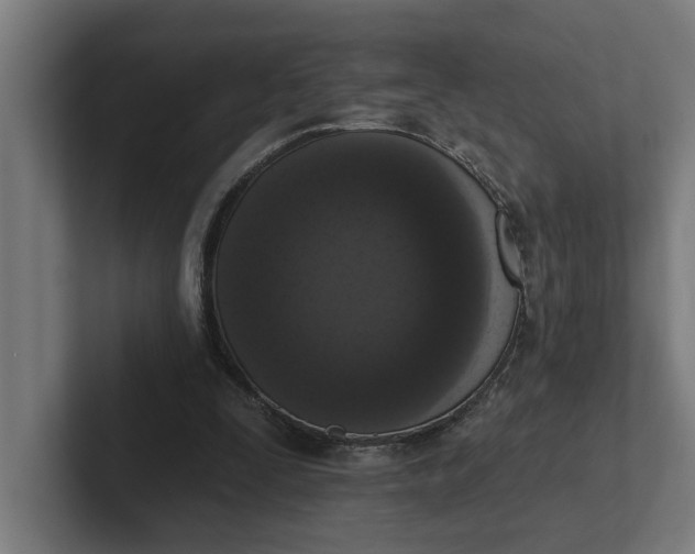 X0000102000295200808011127