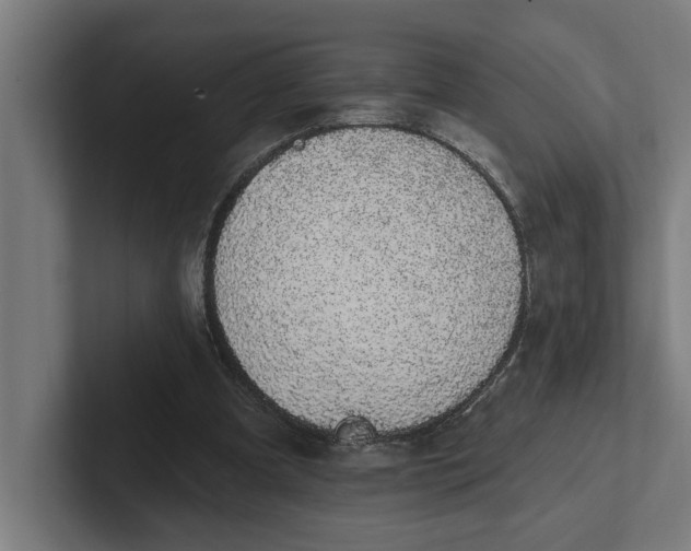 X0000102000297200808011127