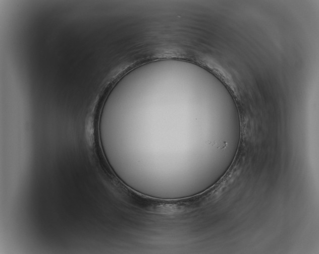 X0000102000298200808011127