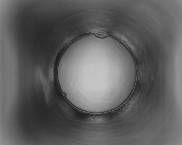 X0000102000299200808011127