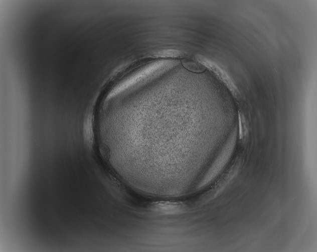 X0000102000300200808011127