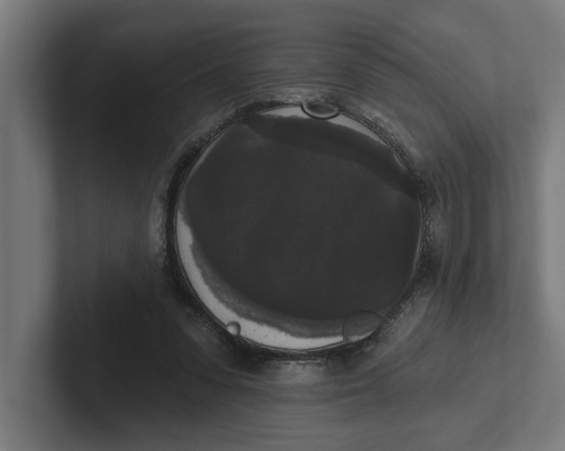 X0000102000303200808011127