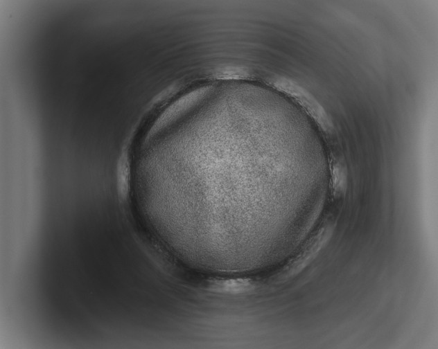 X0000102000304200808011127