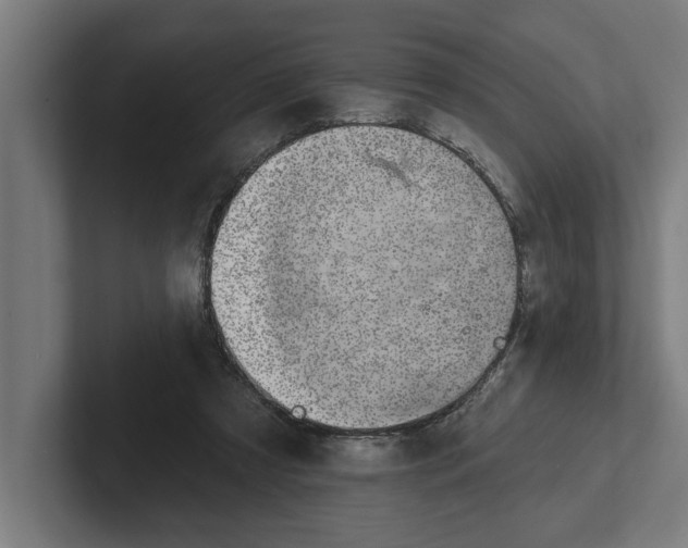 X0000102000305200808011127