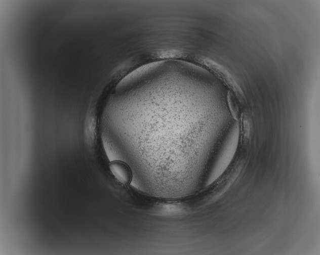 X0000102000308200808011127