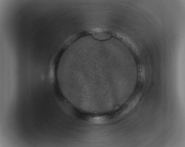 X0000102000312200808011127