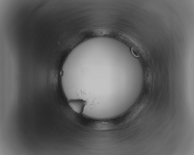 X0000102000315200808011127