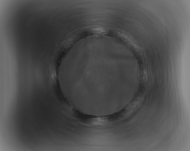 X0000102000320200808011127