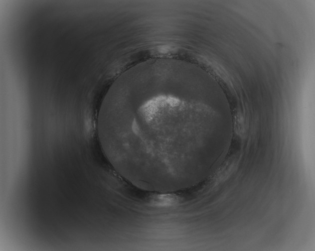 X0000102000324200808011127