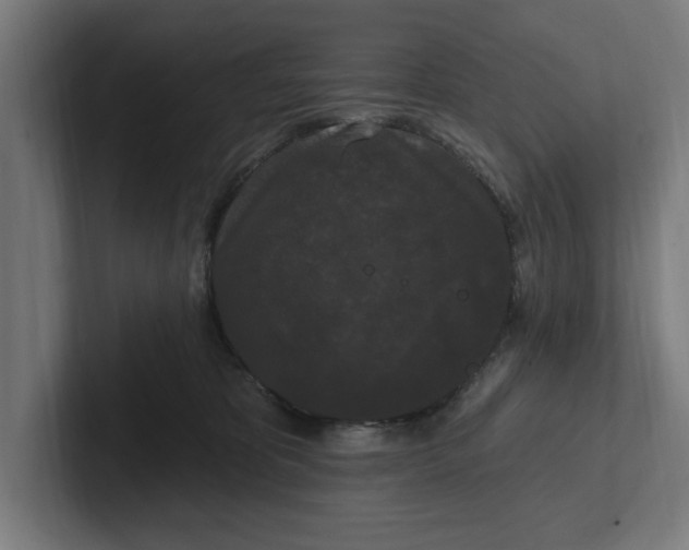 X0000102000325200808011127