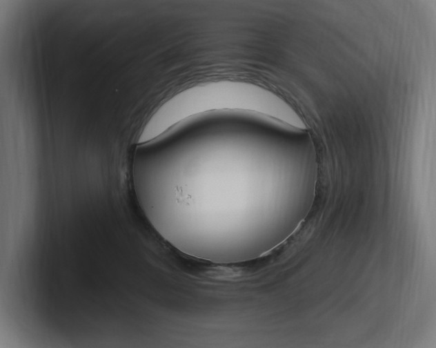 X0000102000328200808011127